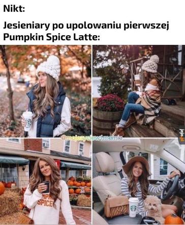 Kocyki, sesje w liściach, czyli jesieniary wracają! Zobacz najlepsze memy 