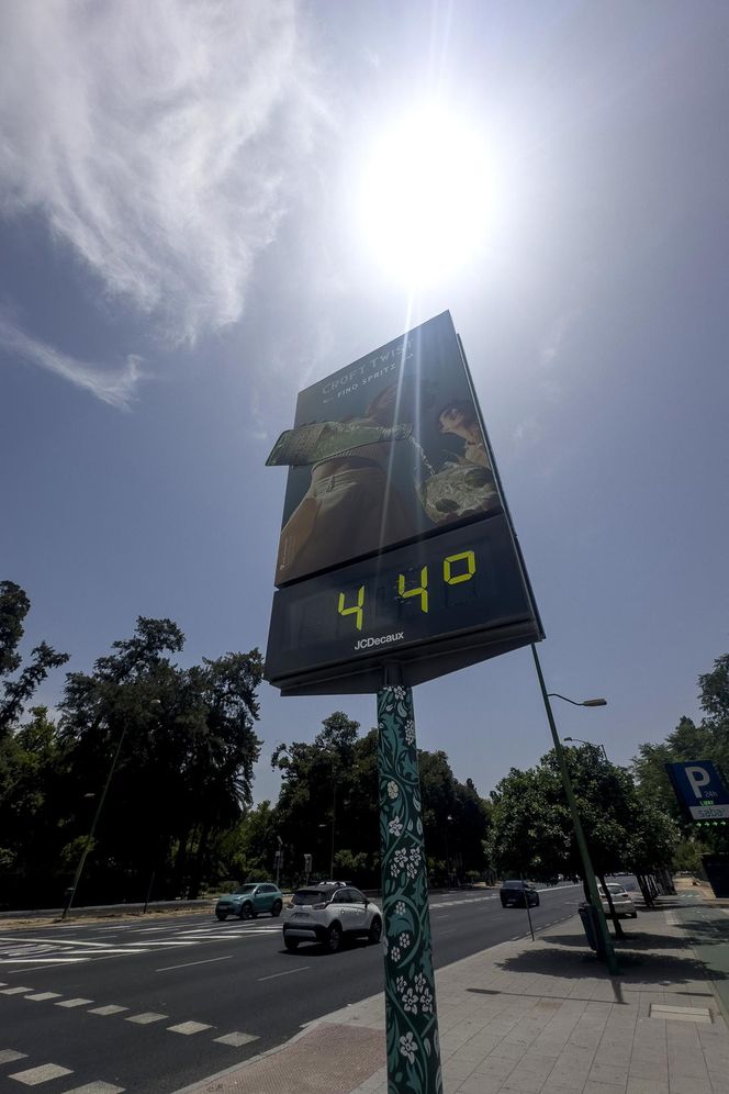 Fala upałów w Europie! "Centra chłodzenia" powstają w miastach