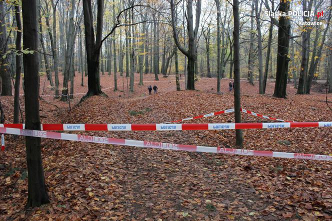 Katowice: Zwłoki w kompleksie leśnym przy Szarych Szeregów. Policja wyjaśnia przyczyny śmierci mężczyzny