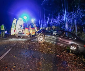Pomorskie. Tragiczna śmierć 30-latka. Wjechał w drzewo i zginął