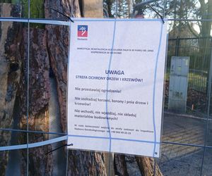 Przebudowa alei Fałata w Parku Kasprowicza