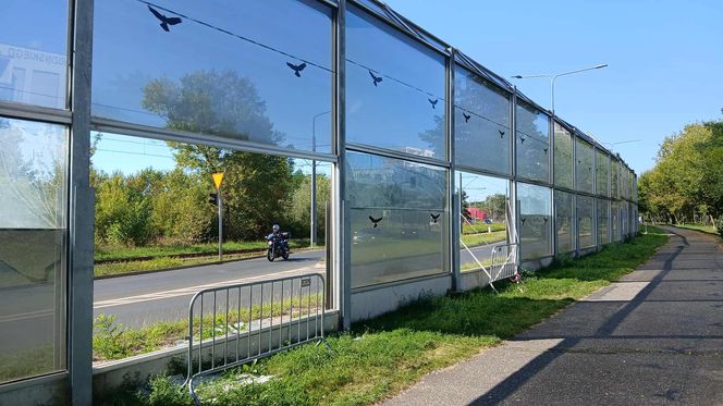 Straty liczone są w dziesiątkach tysięcy złotych