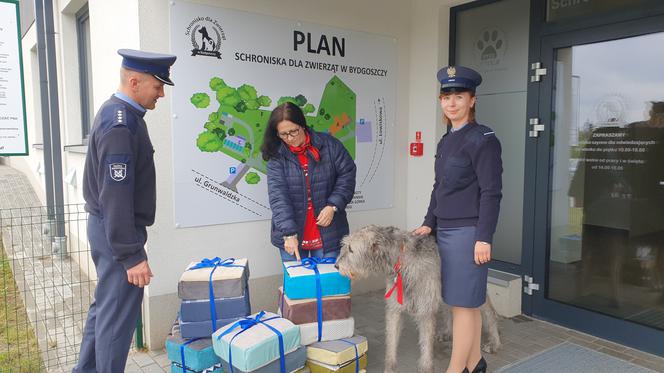 Więźniowie uszyli poduszki dla zwierząt z bydgoskiego schroniska