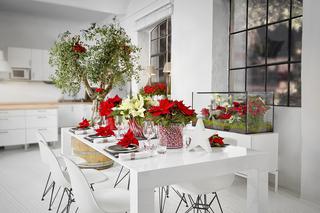 Kwiatowa dekoracja stołu wigilijnego