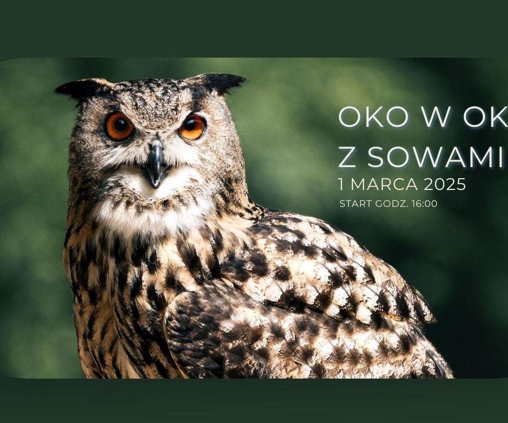 Oko w Oko z Sowami” w Kazimierzu Dolnym - plakat wydarzenia