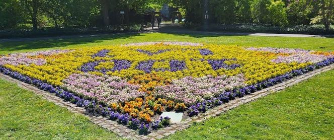 Ogód Botaniczny UAM