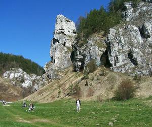 Dolina Kobylańska (Dolinki Podkrakowskie)