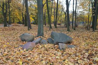 Park 1000-lecia w Lesznie na chwilę przed zachodem słońca