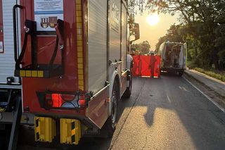 Poważny wypadek pod Poznaniem. Dziewczynka wpadła pod rozpędzony autobus