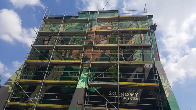 Mural "Sosnowy początek" w Sosnowcu
