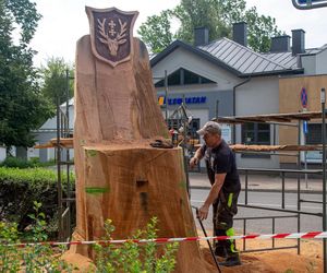 Wyrzeźbili tron z pnia znanego hrubieszowskiego dębu