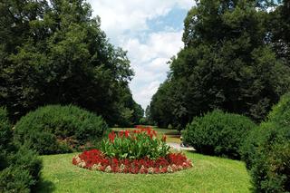 Lato w Parku miejskim w Zamościu 