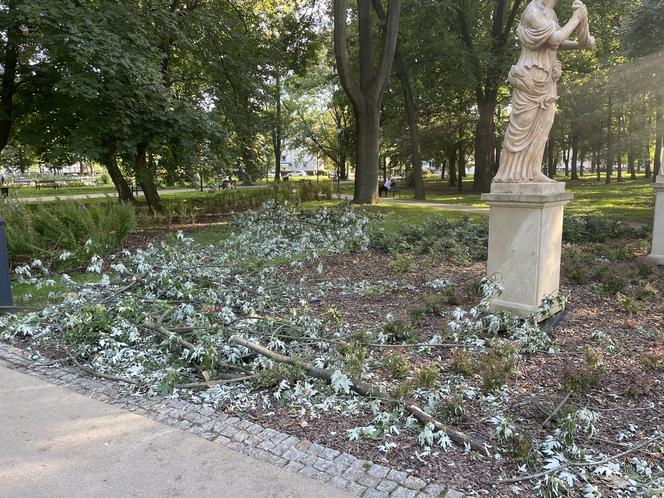 Rzeźba w parku przy Dąbrowskiego straciła głowę i nie tylko. Nie wiadomo czy da się ją naprawić 