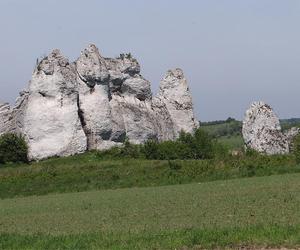 Słoneczne Skały w Jerzmanowicach 