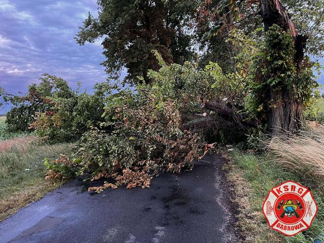 Potężna burza przeszła przez Bydgoszcz i region. Ponad 400 interwencji strażaków!