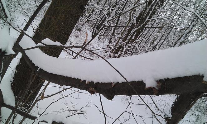 Nagły atak zimy w Wielkanoc. Spadło nawet 40 cm śniegu