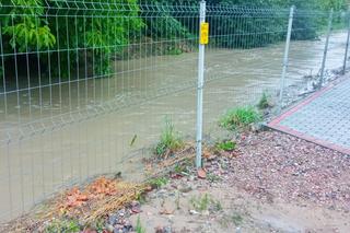 Interwencje po nawałnicach w Nowym Mieście Lubawskim