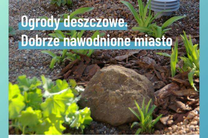 Ogrody deszczowe w Lublinie. Kolejna zielona inicjatywa w mieście
