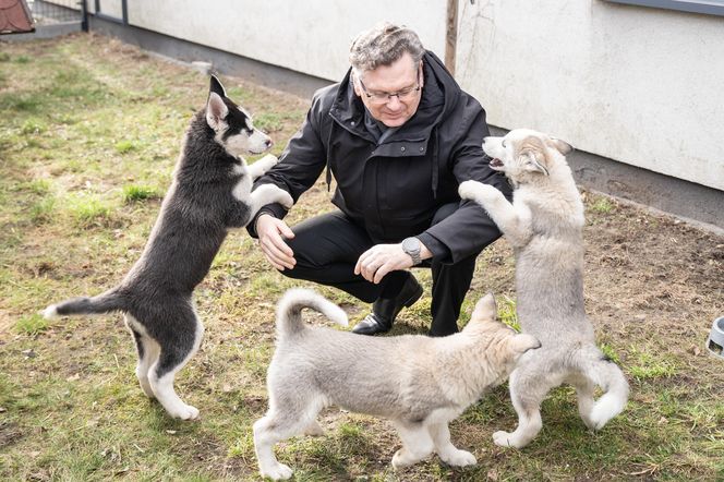  Dzięki programowi nowy dom znalazło ponad 300 piesków