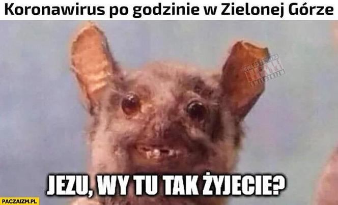 Najlepsze memy o Zielonej Górze