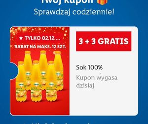 Adwentowa bitwa gigantów: Biedronka i Lidl kuszą klientów codziennymi promocjami