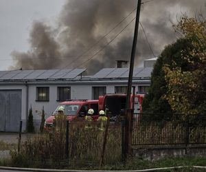 Pożar hali w Sadowie