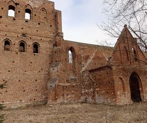 Ruiny kościoła w Steblewie