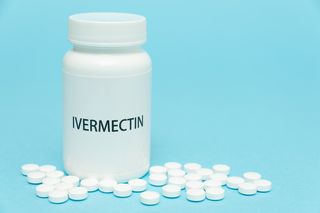 Iwermektyna - działanie, wskazania, przeciwwskazania, dawkowanie