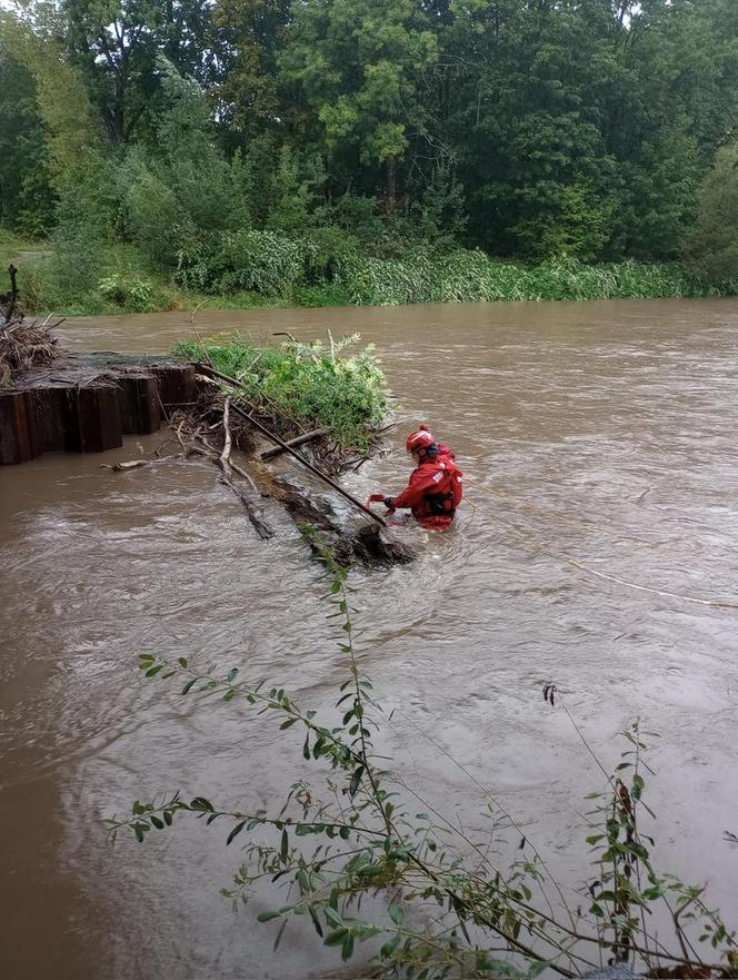 Tak wygląda sytuacja w woj. dolnośląskim