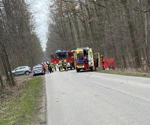 Skwarne: Tragiczny wypadek z udziałem rowerzystki. Kobieta zginęła na miejscu!