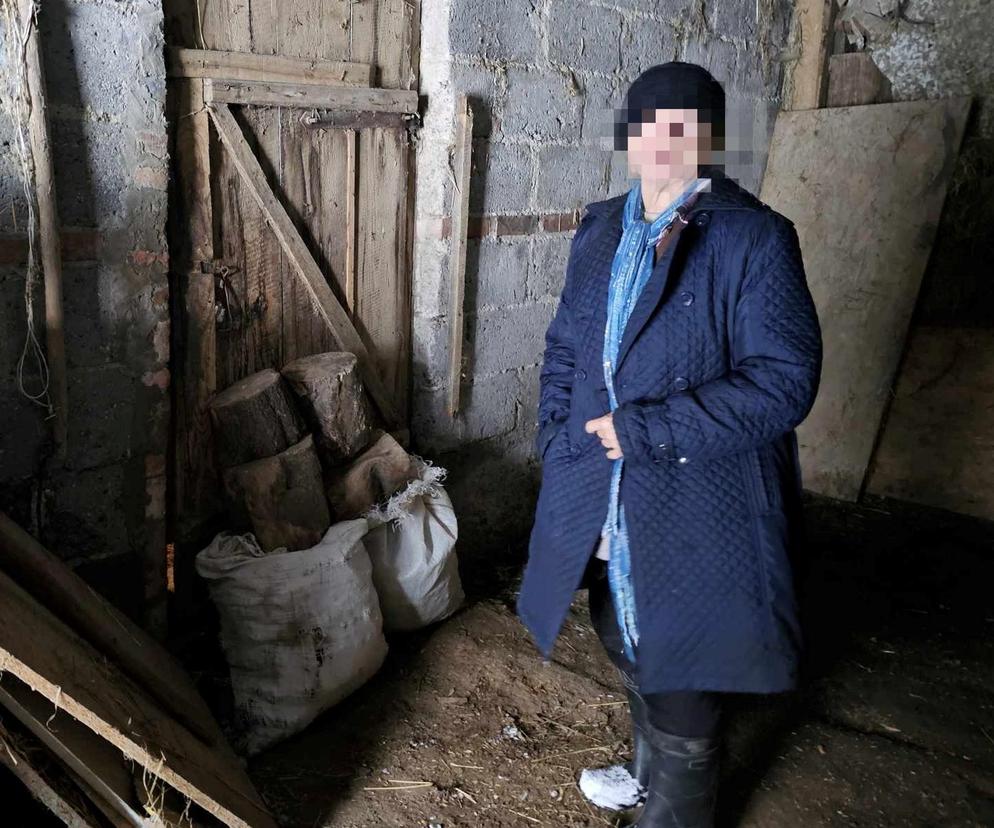 Bandyci ukradli staruszce 10 kur i koguta