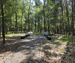 Las pamięci na Junikowie w Poznaniu