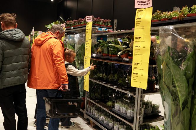 Festiwal roślin odbywa się w Katowicach