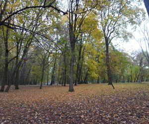 Park Lubomirskich w Białymstoku jesienią 