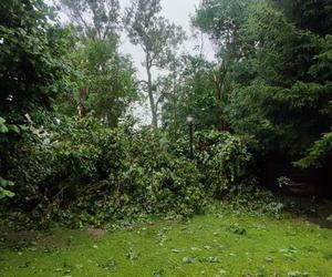 Kolejne groźne nawałnice przeszły nad Warmią i Mazurami. Strażacy interweniowali kilkaset razy [ZDJĘCIA]