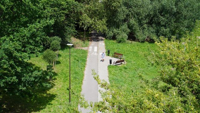 Wakacyjny spacer pod kładką nad wąwozem na Czubach. To jedno z najbardziej zielonych miejsc w Lublinie!