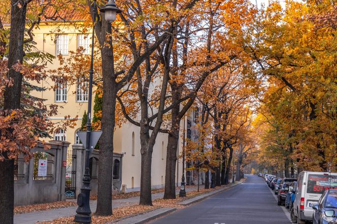 Kolonia profesorska w Warszawie