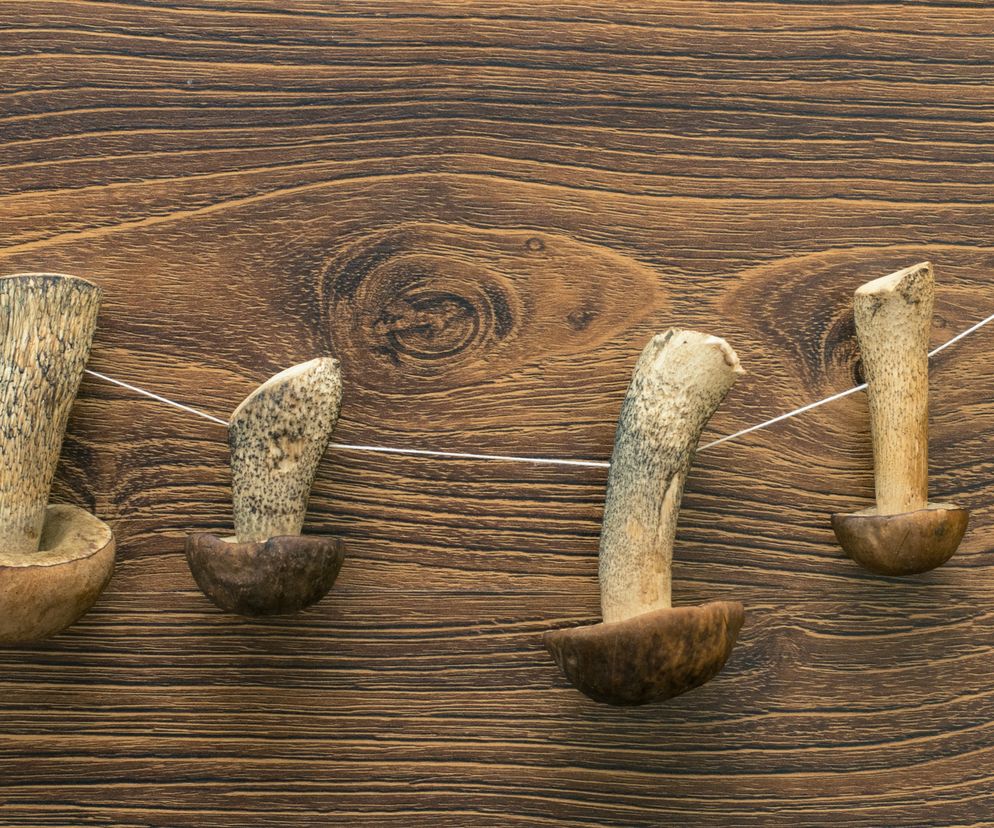 suszenie grzybów na kaloryferze