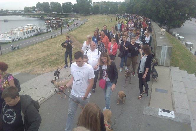 Marsz przeszedł od Mostu Dębnickiego pod Pomnik Psa Dżoka