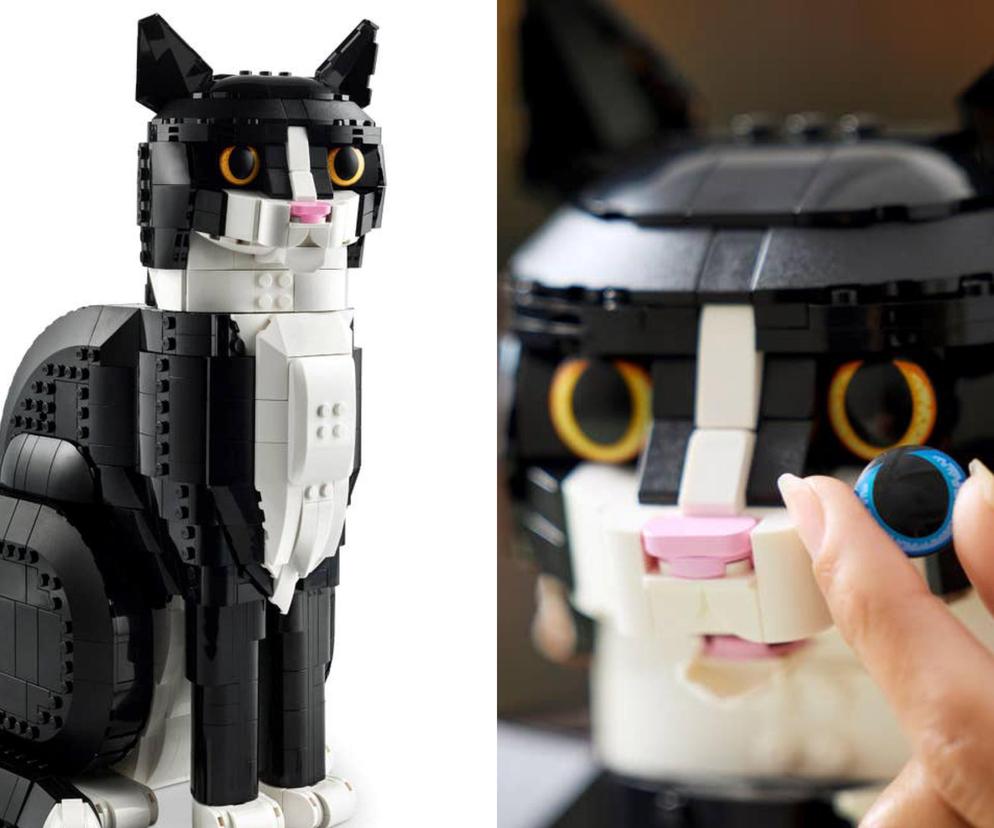 LEGO Ideas 2024: Kot w smokingu zamiauczy już w czerwcu! Zestaw idealny dla fanów zwierząt 