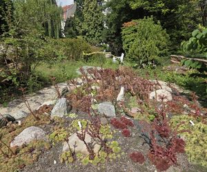 Letni spacer w zielonym sercu Bydgoszczy. Ogród Botaniczny UKW zaprasza!