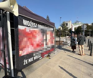 Dziennikarka „Super Expressu” oblana farbą i wyrzucona z pikiety antyaborcjonistów. „Wynocha z mojego zgromadzenia!”