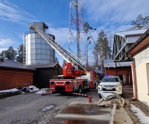 Pożar silosu na trociny w Lubieni. W akcji 31 strażaków [ZDJĘCIA]