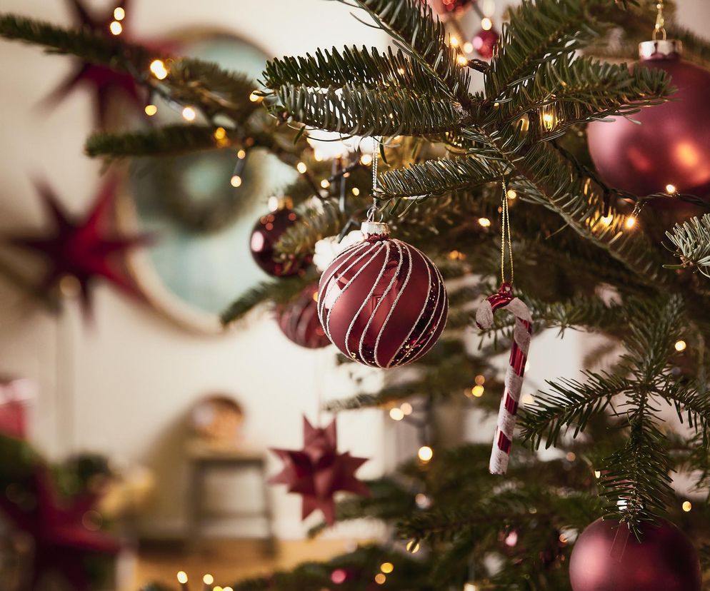 Najmodniejsze choinki 2025! Który styl podbije święta: glamour, scandi, a może coś zupełnie innego?