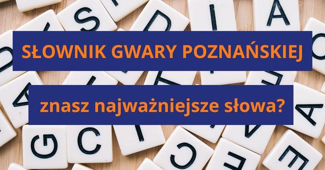 Słownik gwary poznańskiej - znasz najważniejsze słowa?