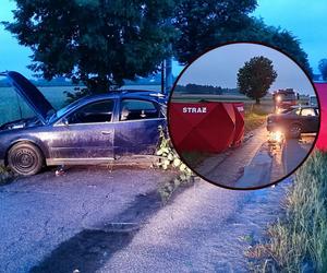 Młody kierowca trzasnął audi w drzewo. 36-latek ni żyje, nastolatek w ciężkim stanie