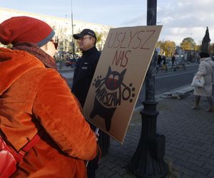 Wielki protest przez ratuszem. Wolontariusze walczą o życie kotów