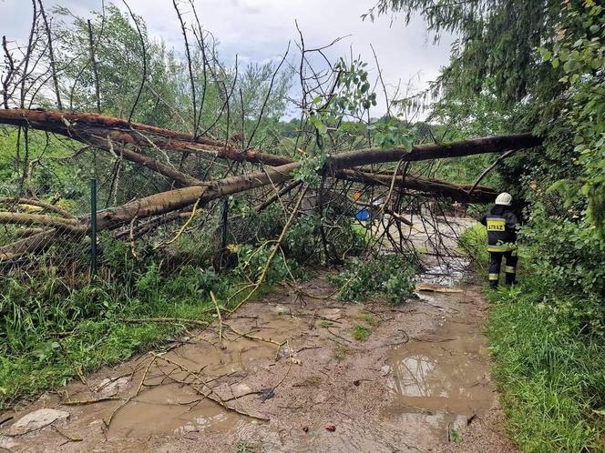 Burze i nawałnice nad Podkarpaciem. Strażacy interweniowali prawie 500 razy [ZDJĘCIA]