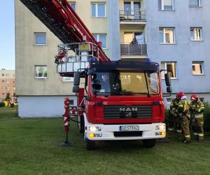 Pies konał w upale na balkonie. Dwa dni bez wody i jedzenia. Koszmar w Bytowie