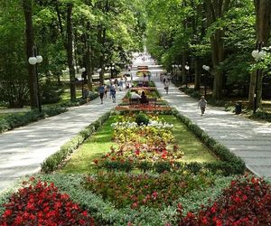 Park Zdrojowy, czyli oaza spokoju w sercu Polanicy 